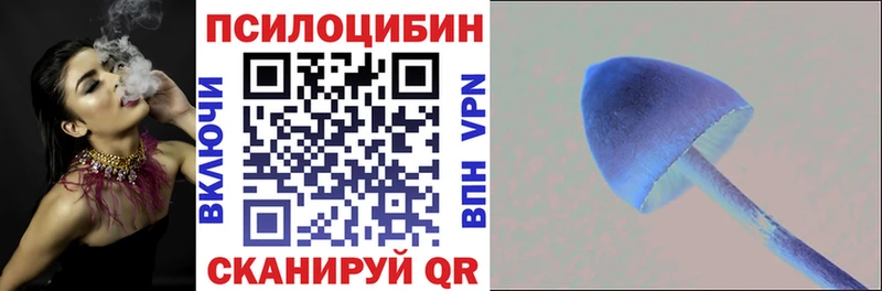где найти   Алексин  Псилоцибиновые грибы ЛСД 